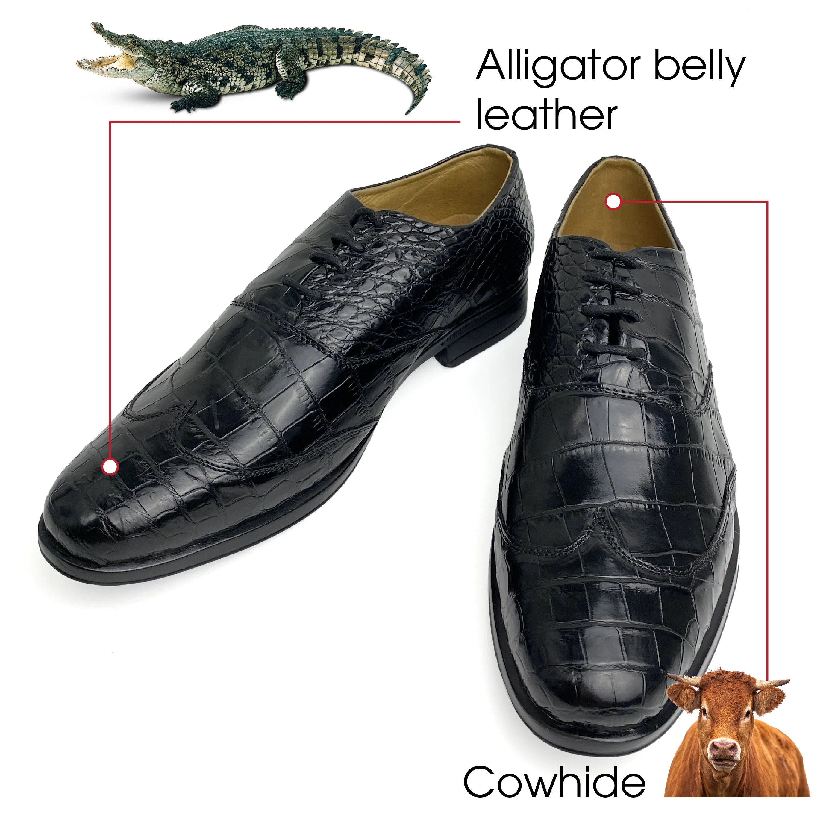 Black Belly Alligator Leather Oxford Dress Shoes For Men  | SH01A42