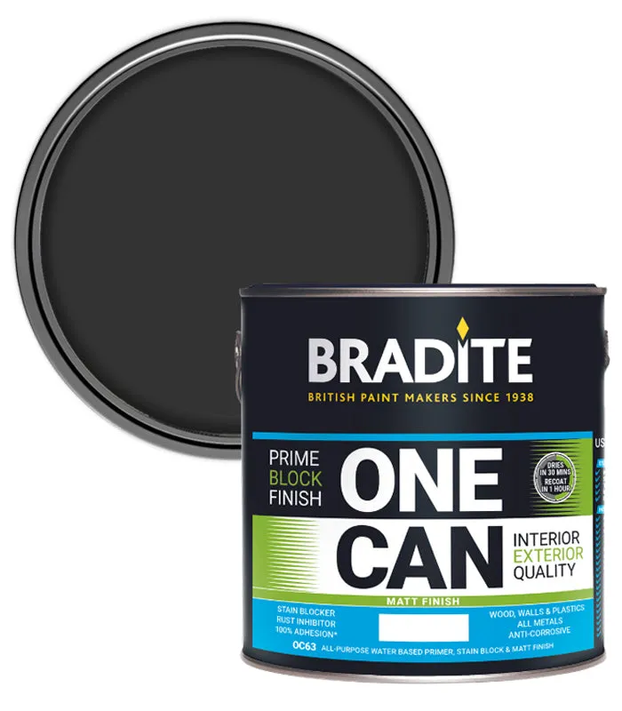 Bradite One Can Matt Paint