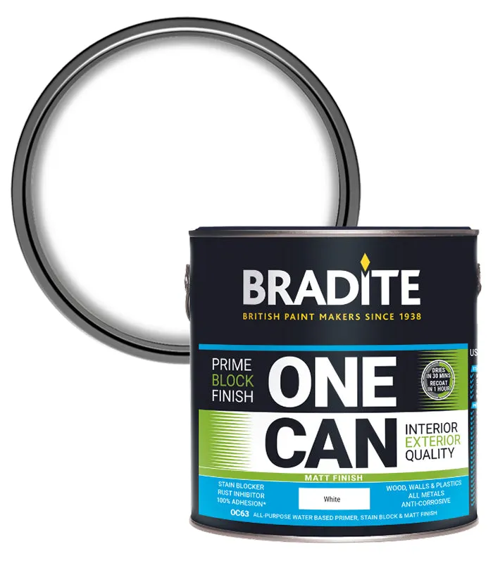 Bradite One Can Matt Paint