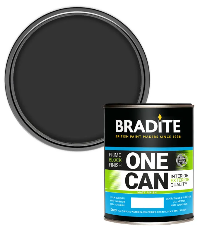 Bradite One Can Matt Paint