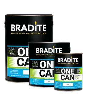 Bradite One Can Matt Paint