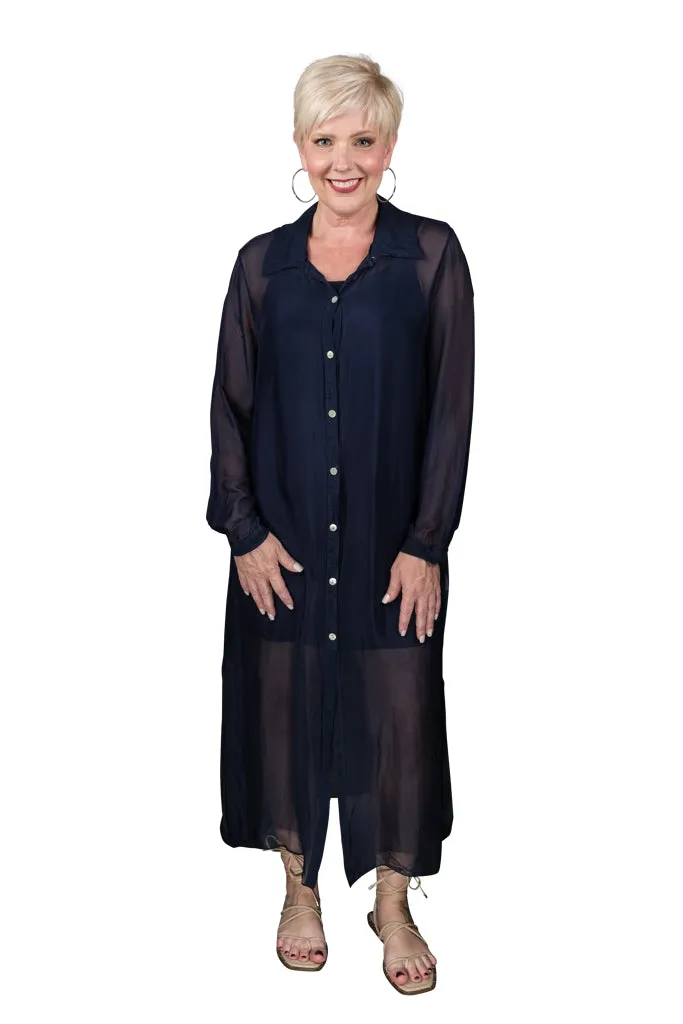 Kayne Silk Shirt Dress (DLS201)