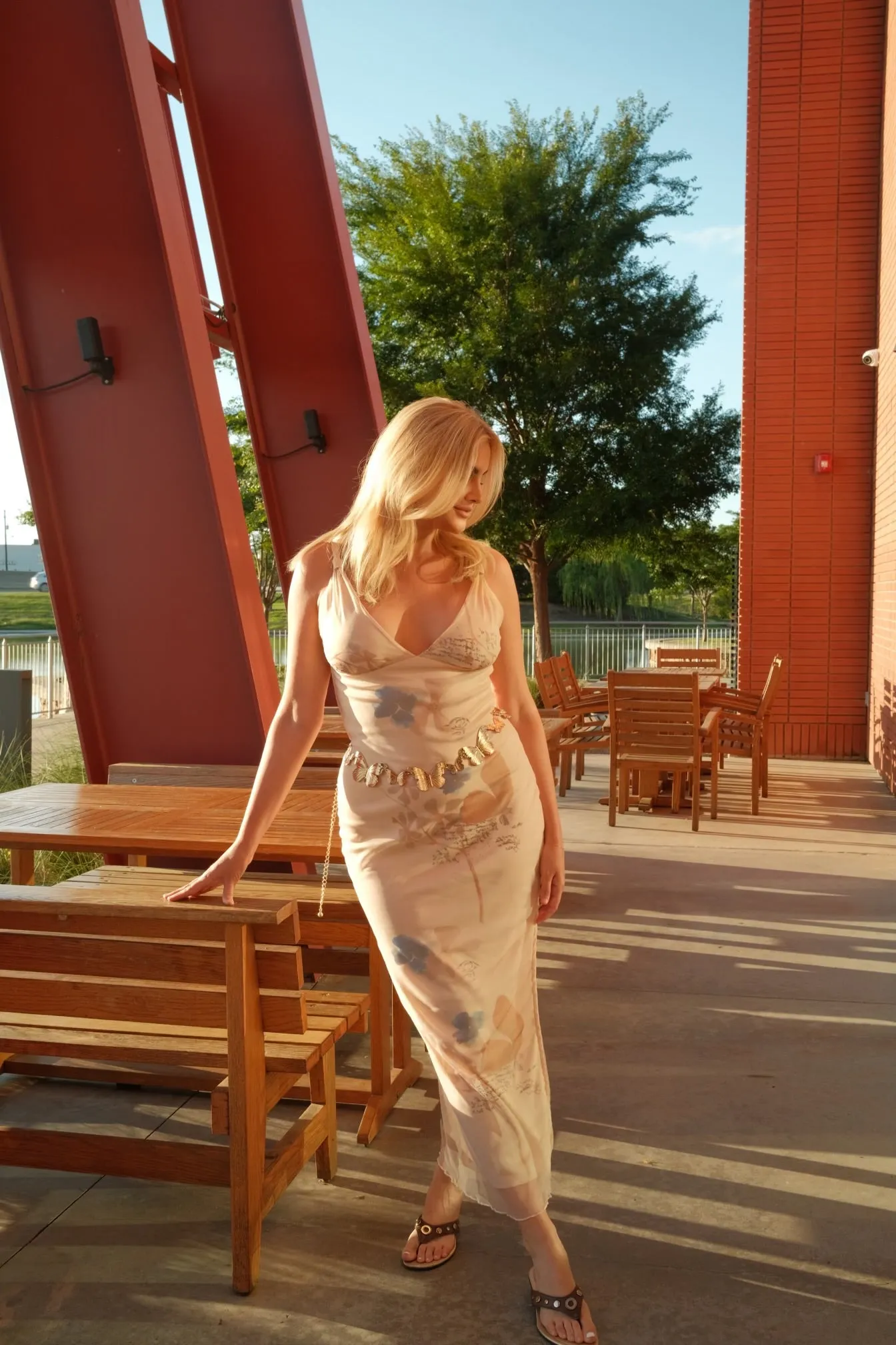 Wings and Wishes Maxi Dress